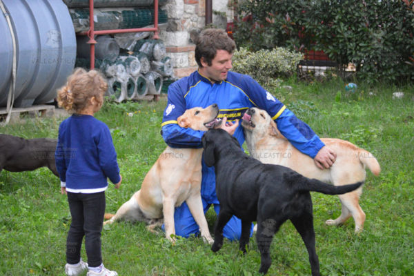 allevare3 allevare3